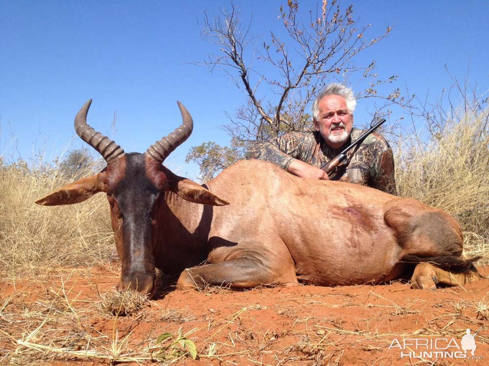 Tsessebe Hunt in South Africa