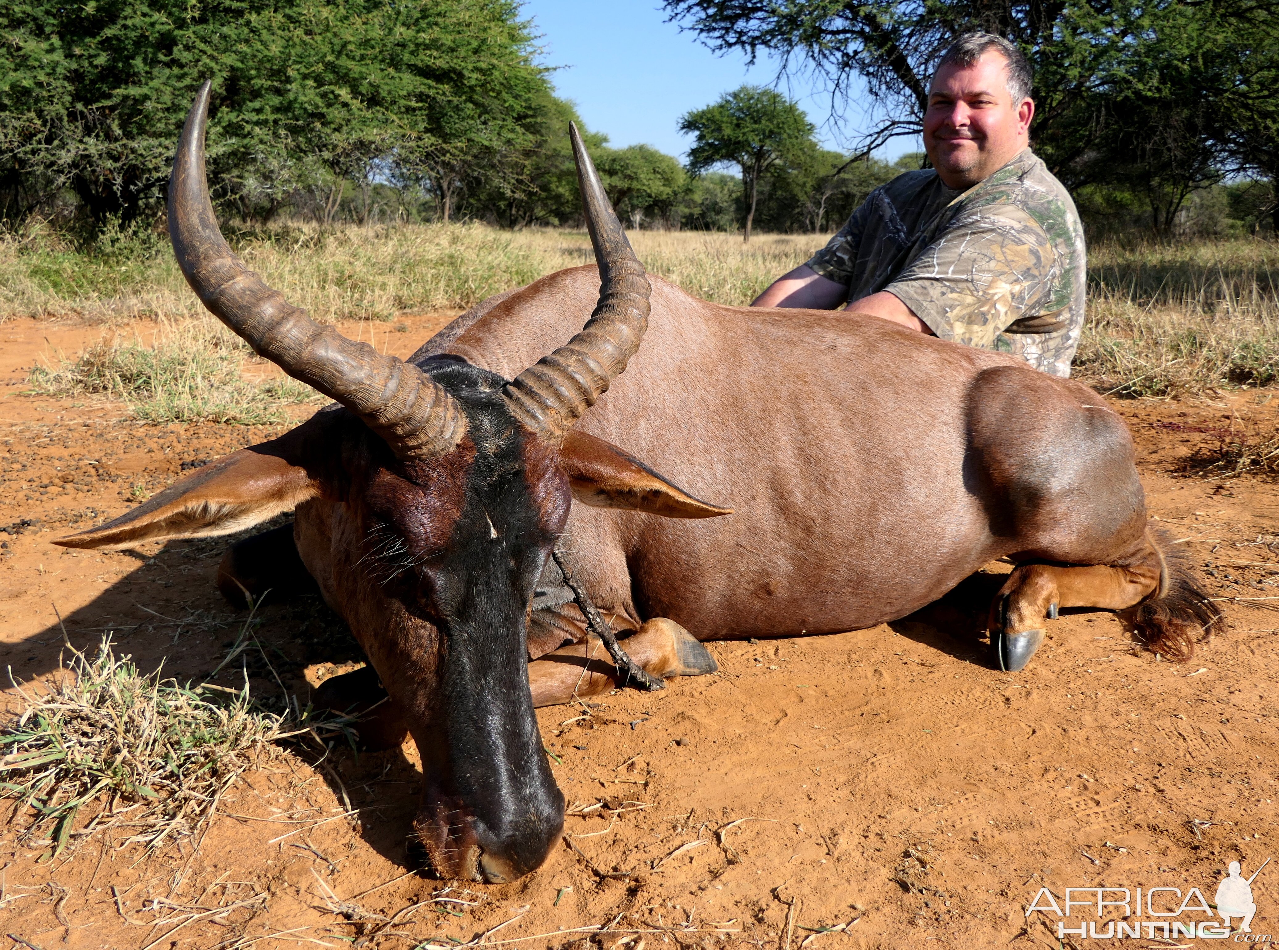 Tsessebe Hunt Limpopo South Africa