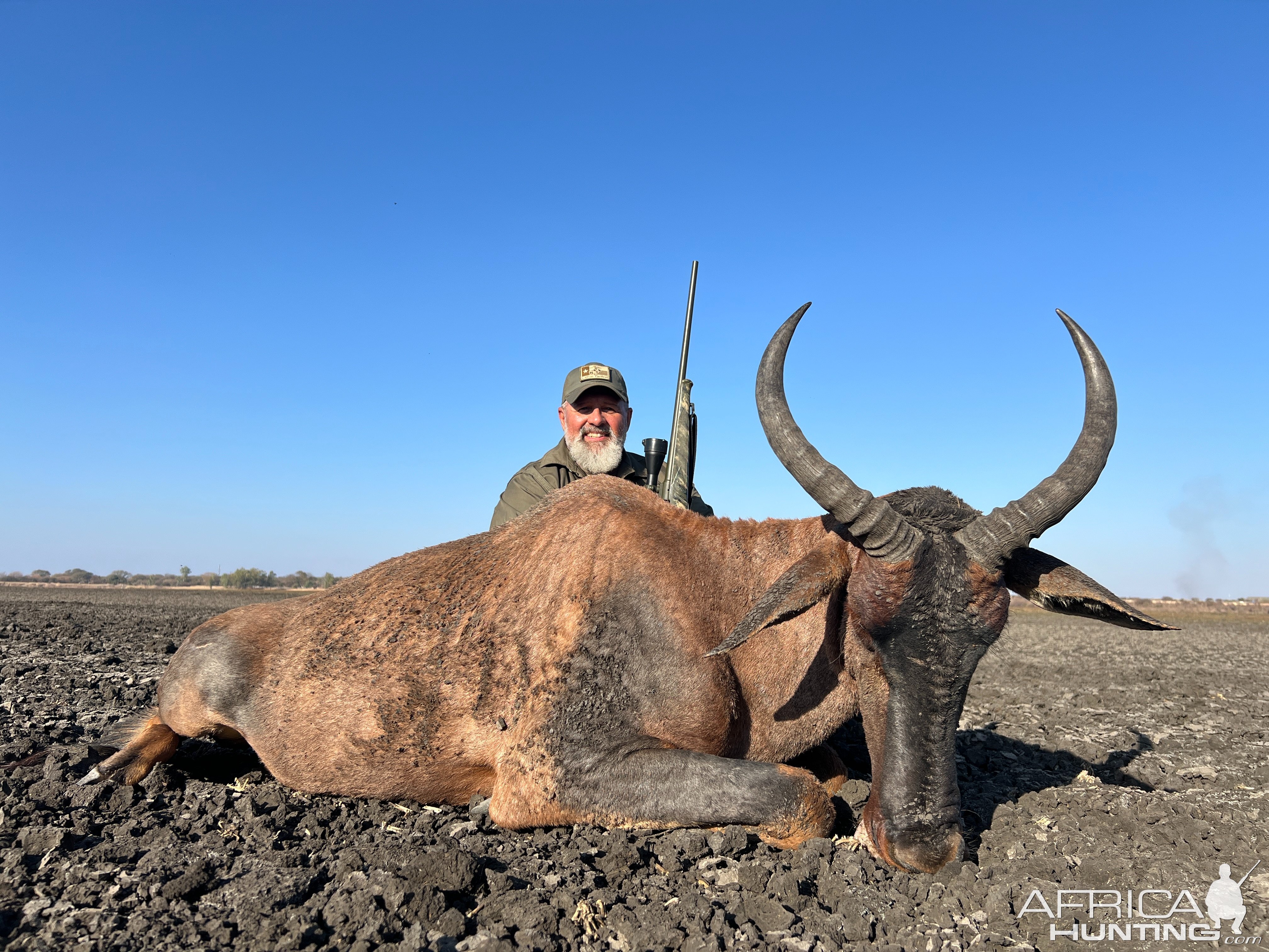 Tsessebe Hunt Limpopo South Africa