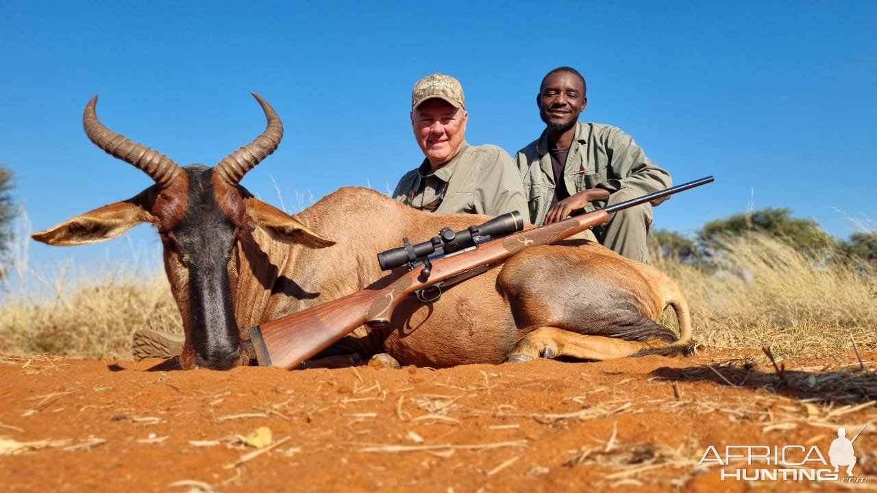 Tsessebe Hunt South Africa