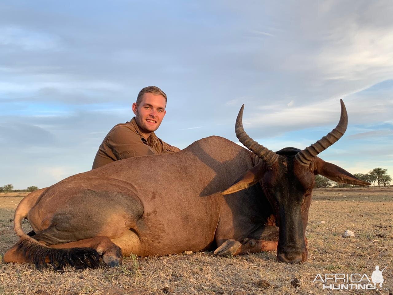 Tsessebe Hunt South Africa