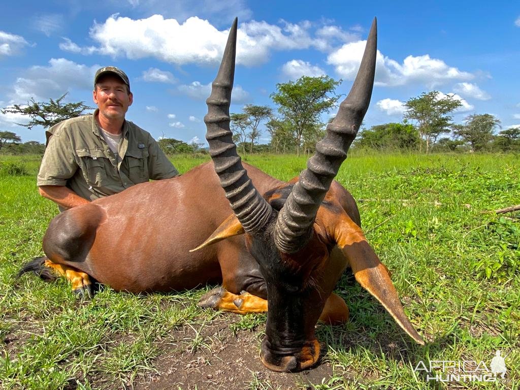 Tsessebe Hunt Uganda