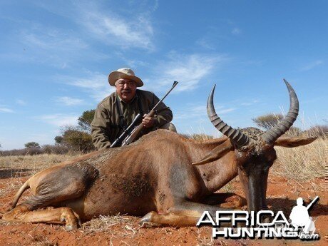 Tsessebe hunt with Wintershoek Johnny Vivier Safaris