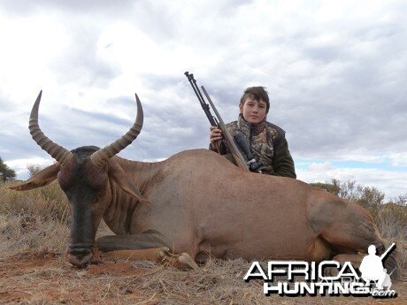 Tsessebe hunt with Wintershoek Johnny Vivier Safaris