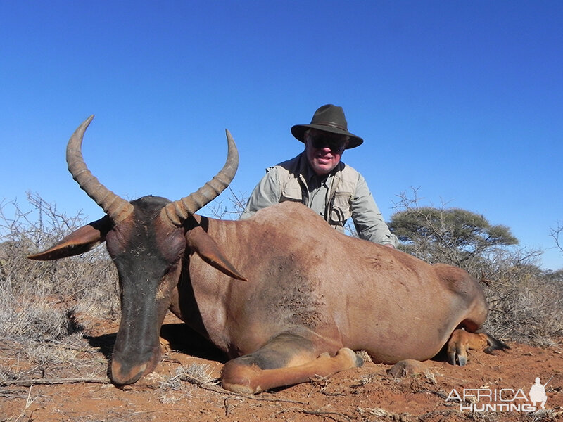 Tsessebe hunt with Wintershoek Johnny Vivier Safaris