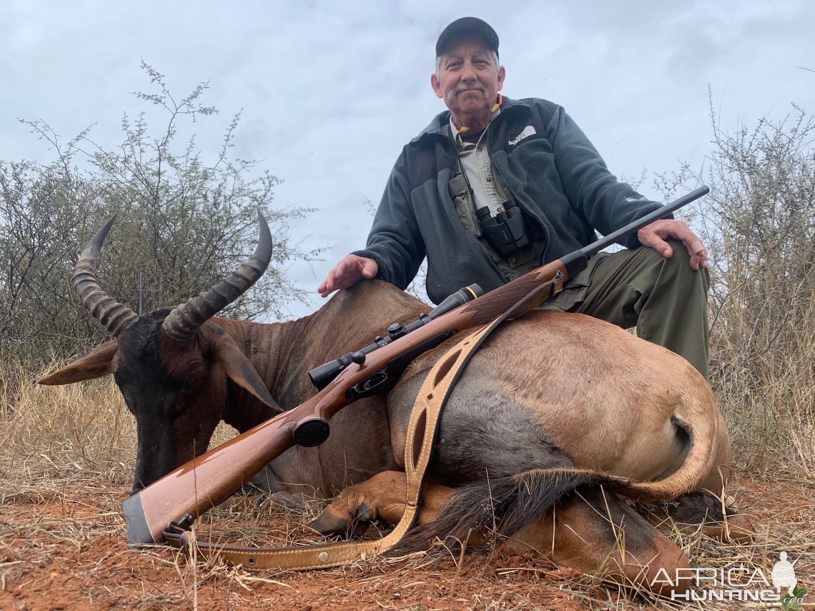 Tsessebe Hunting South Africa