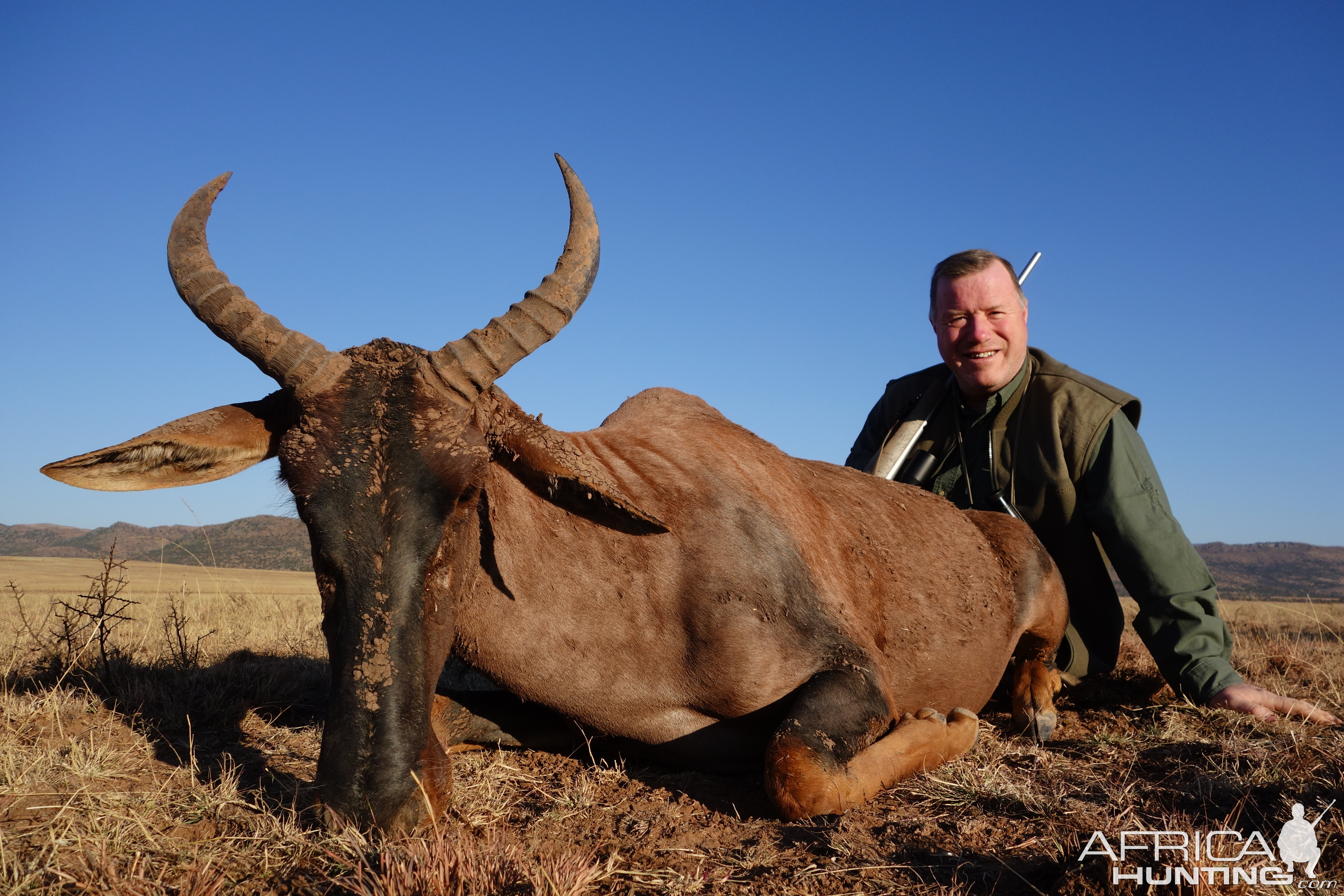 Tsessebe Hunting South Africa