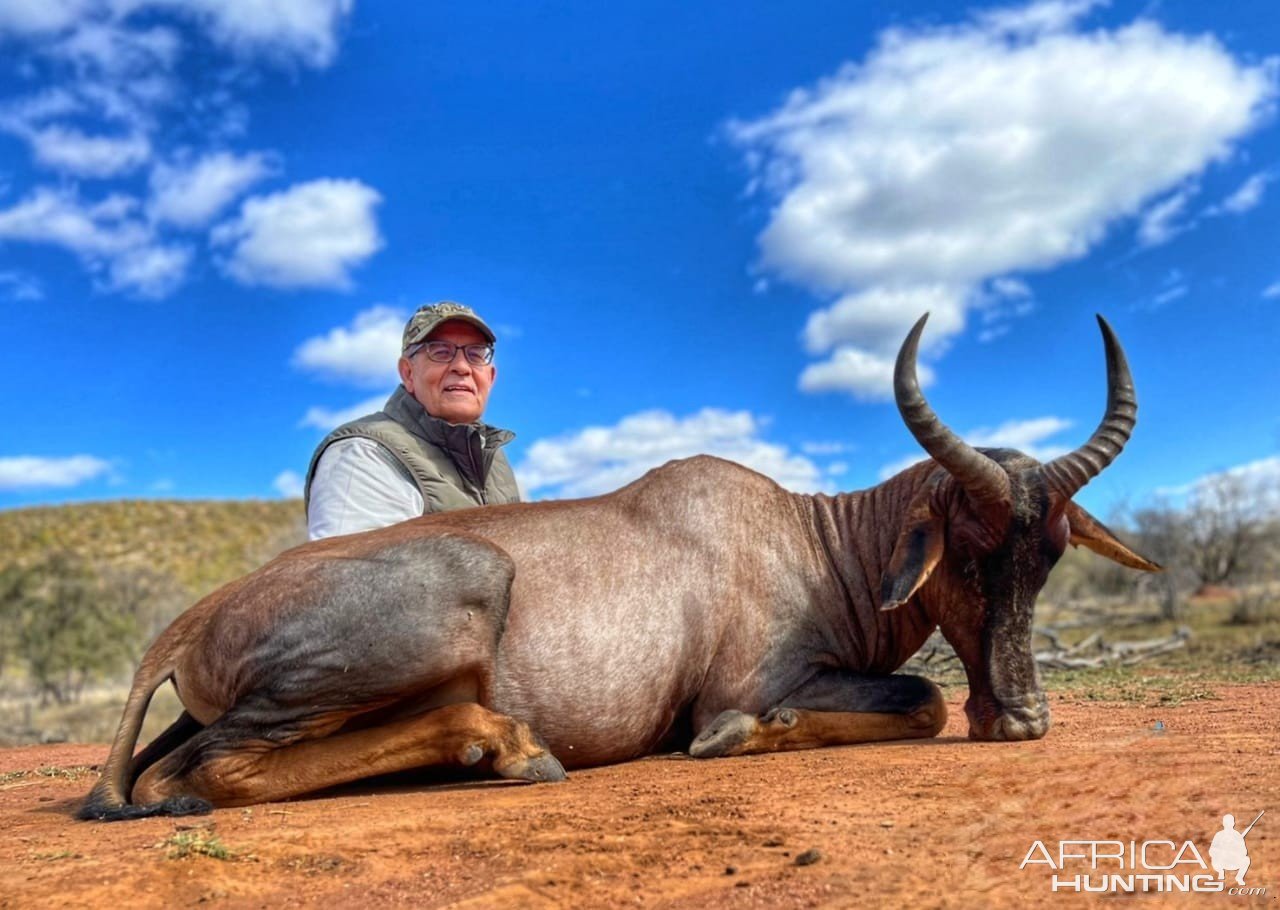 Tsessebe Hunting