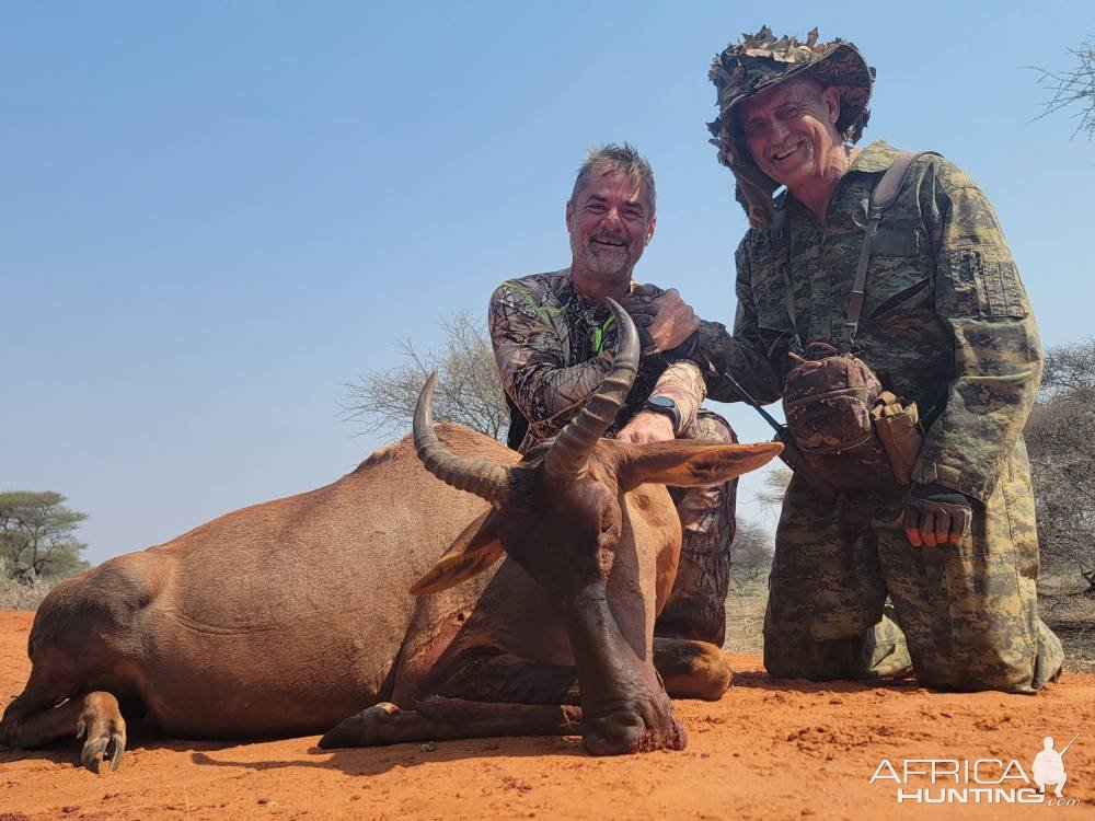 Tsessebe Hunting