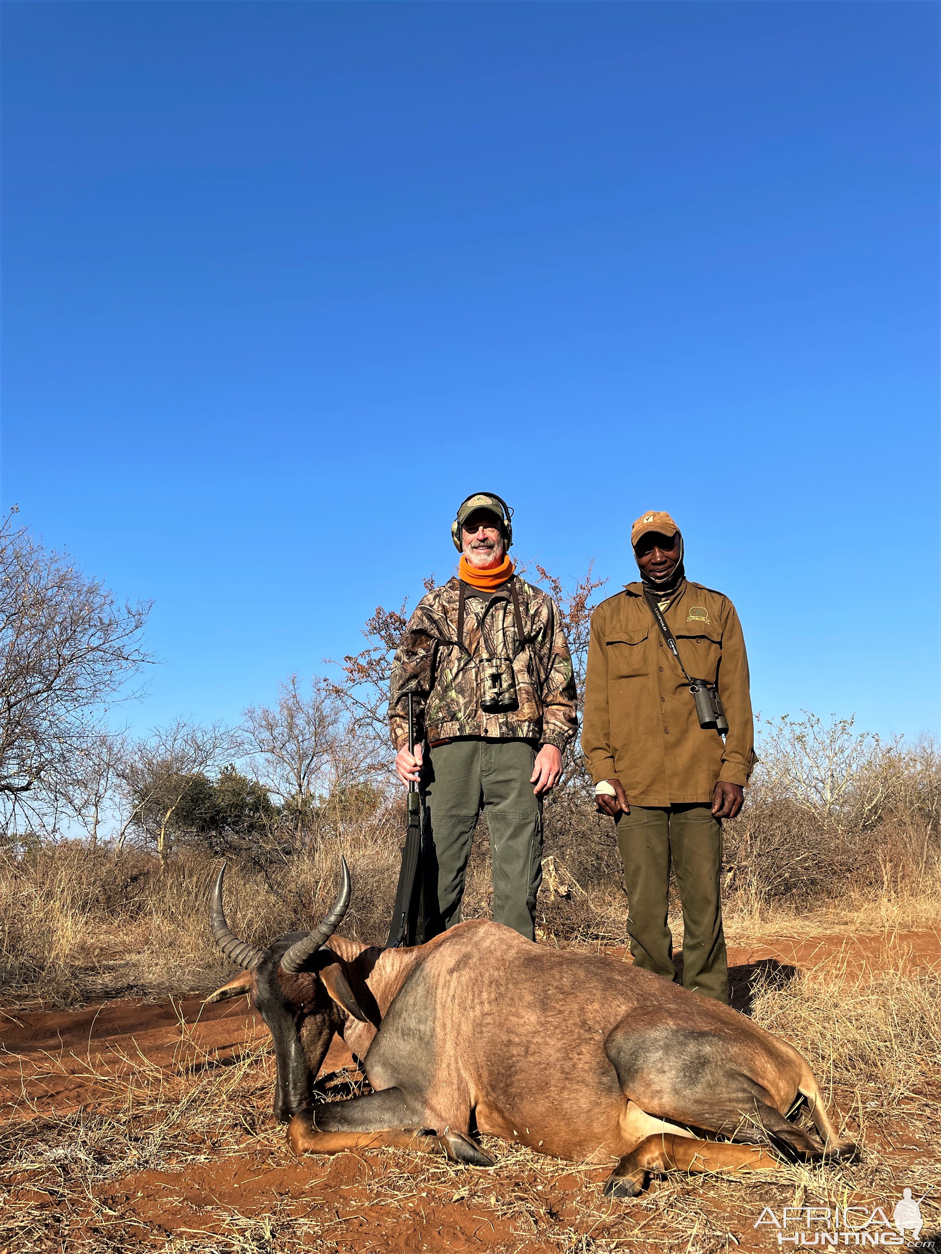 Tsessebe Ram Hunting South Africa