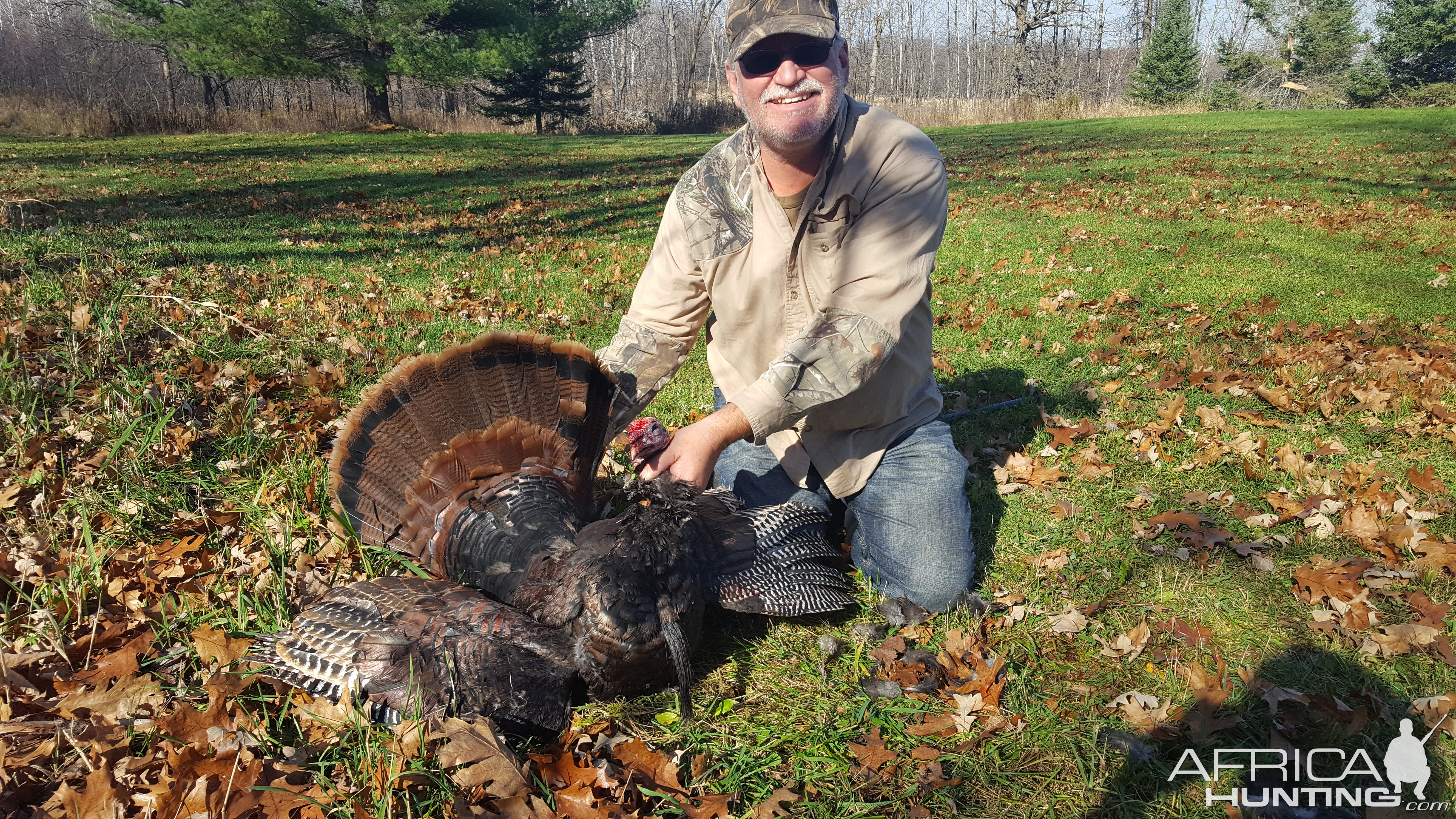 Turkey Bird Hunt Texas