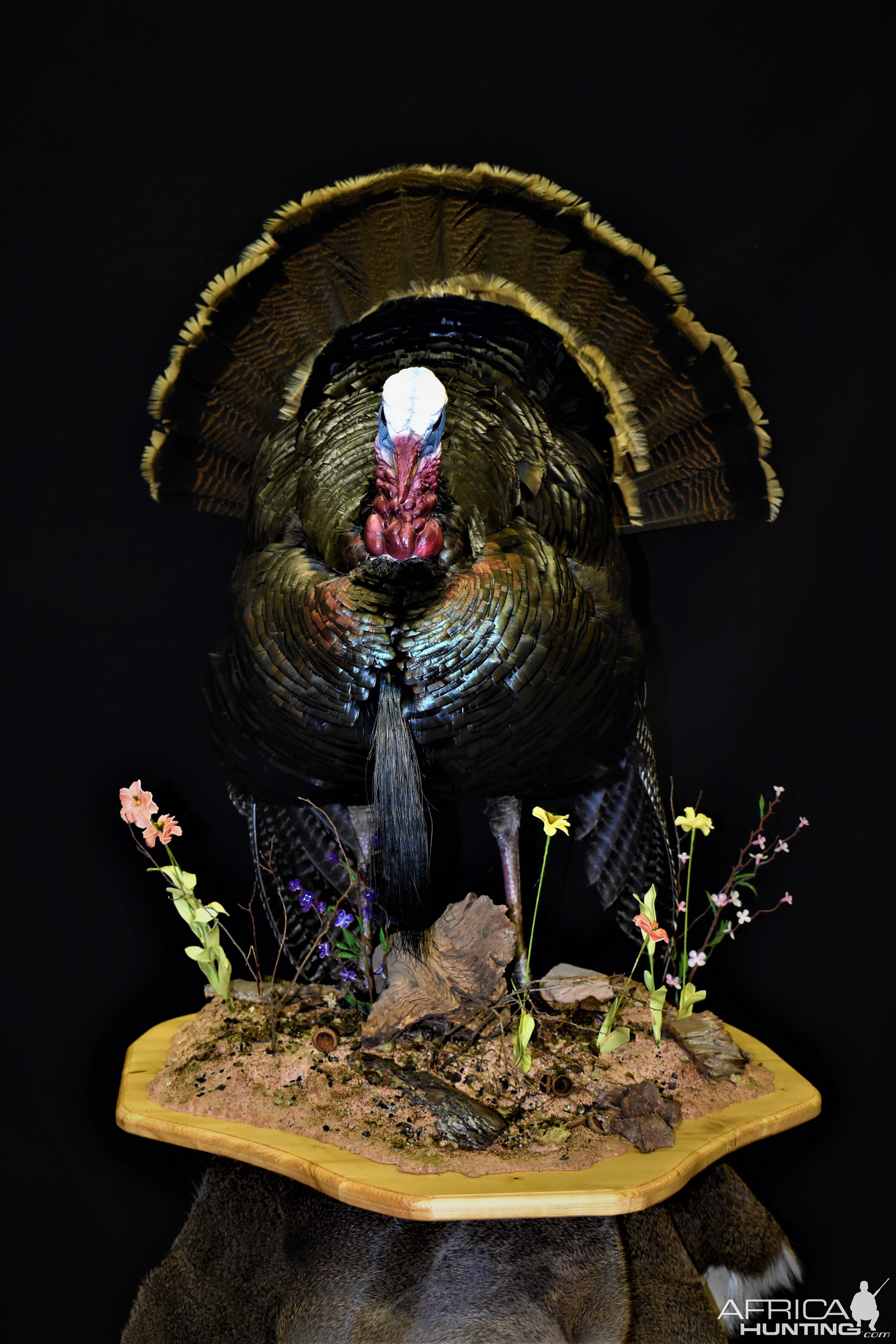 Turkey Full Mount Pedestal Taxidermy