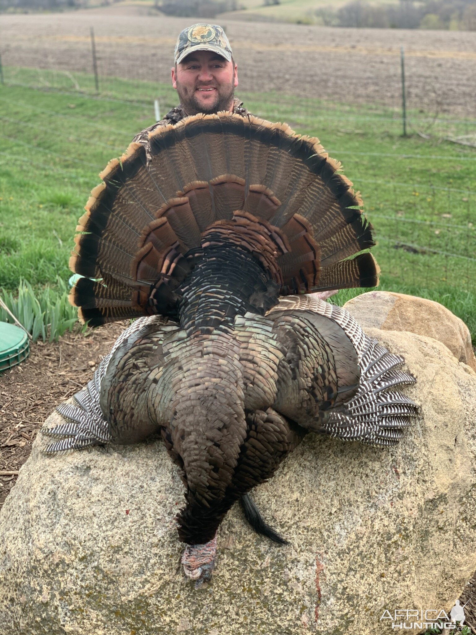 Turkey Hunt Iowa