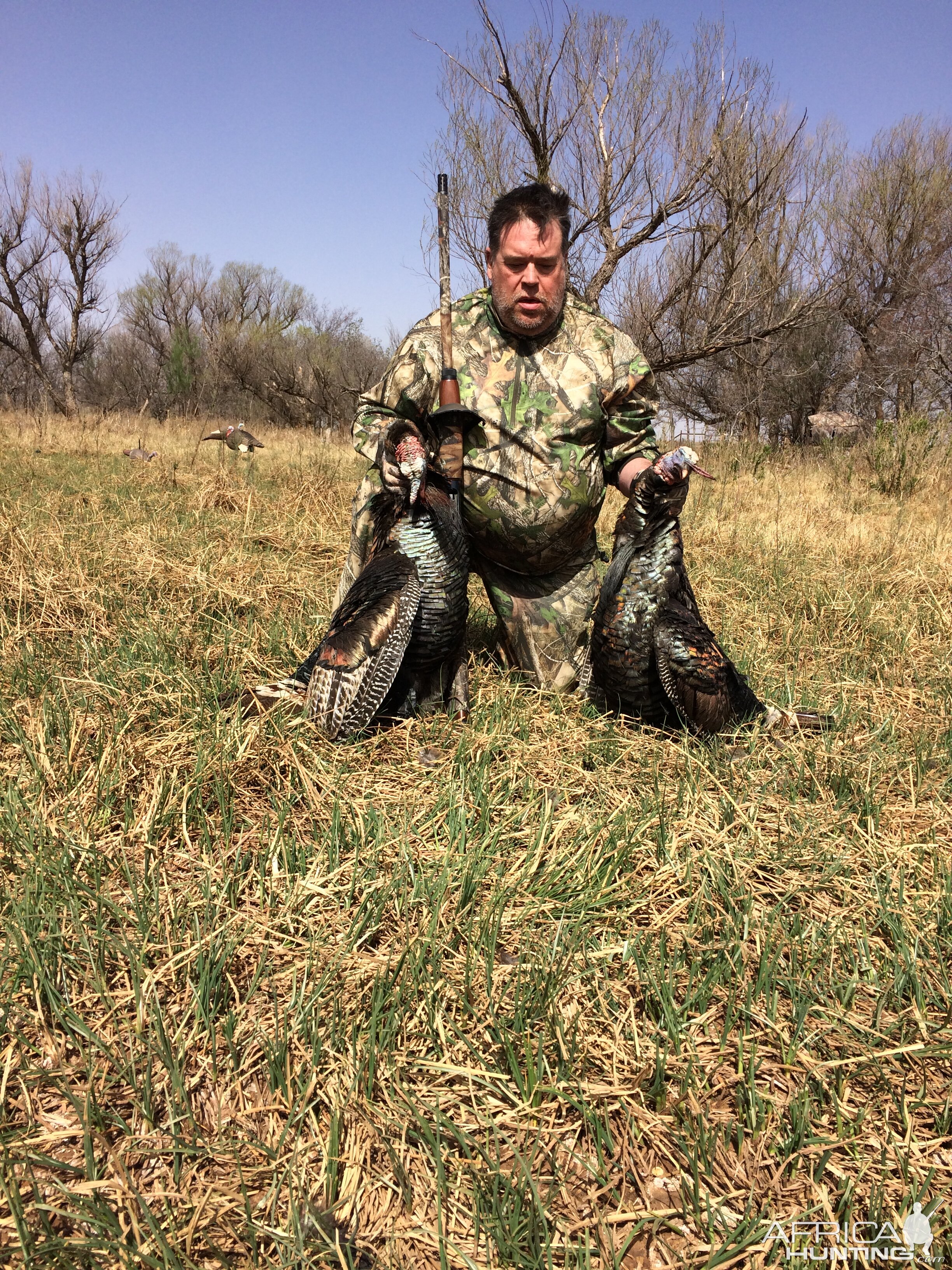 Turkey Hunt Texas