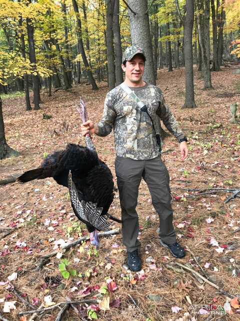 Turkey Hunt