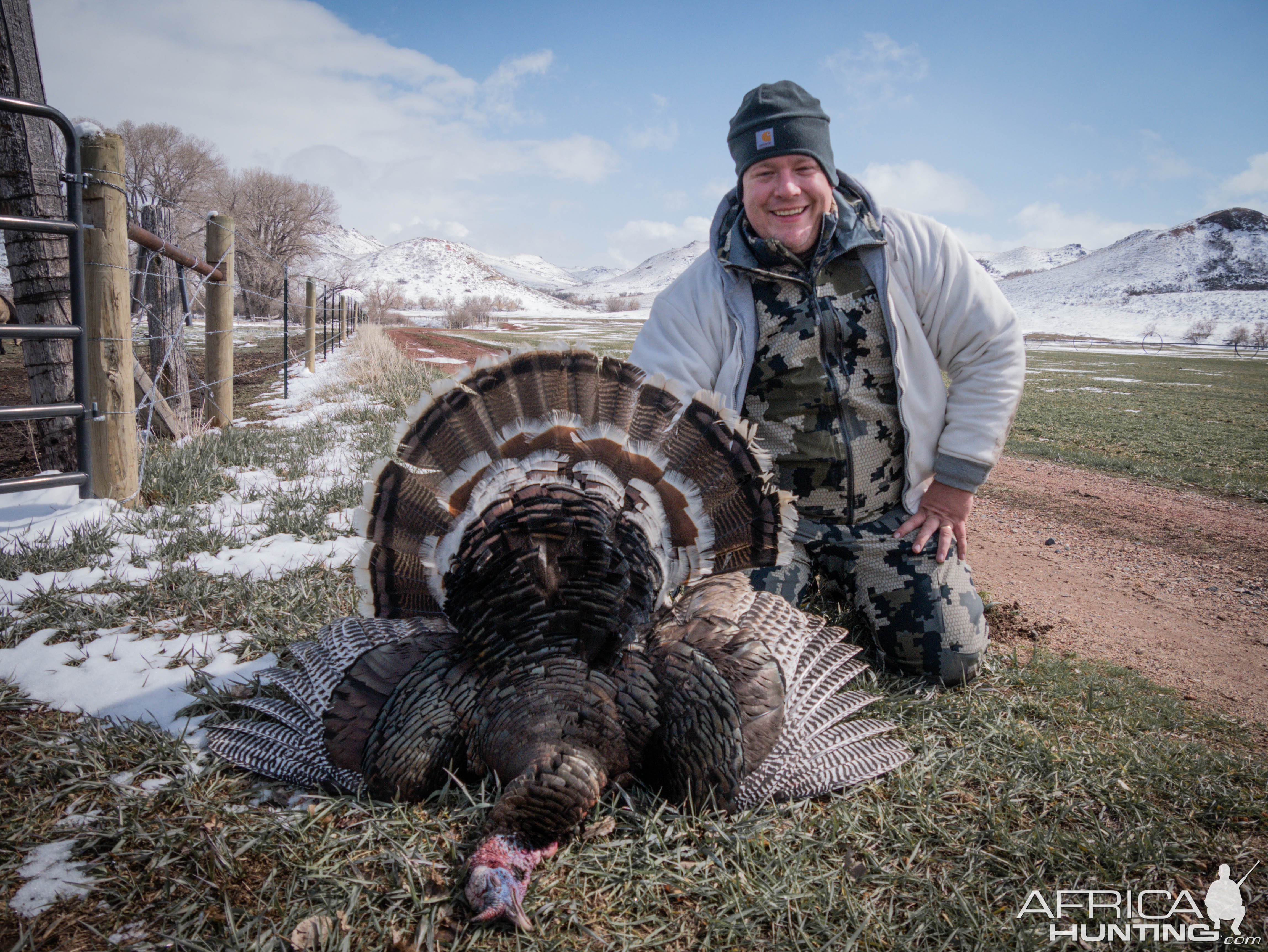 Turkey Hunting Wyoming