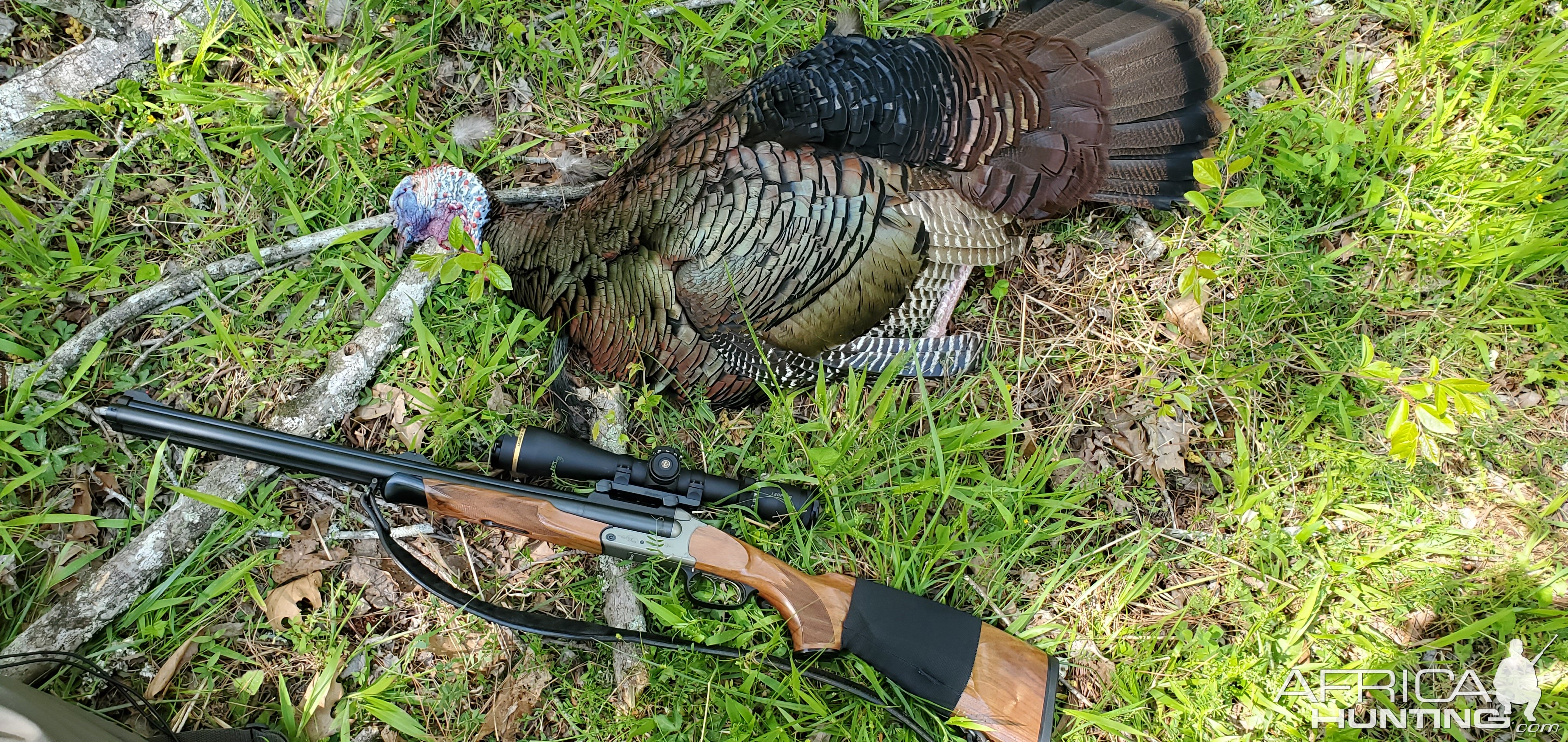 Turkey Hunting