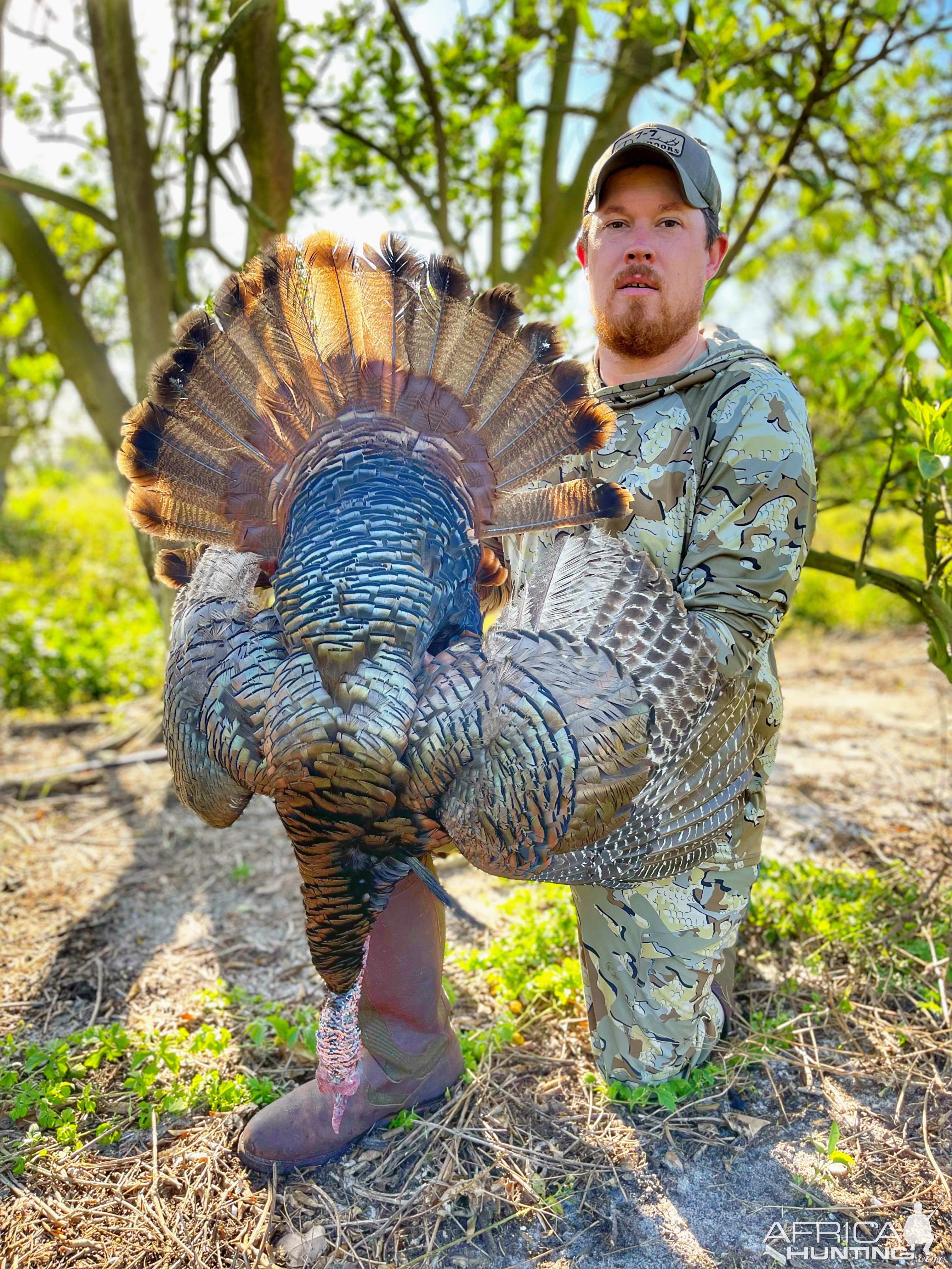 Turkey Hunting