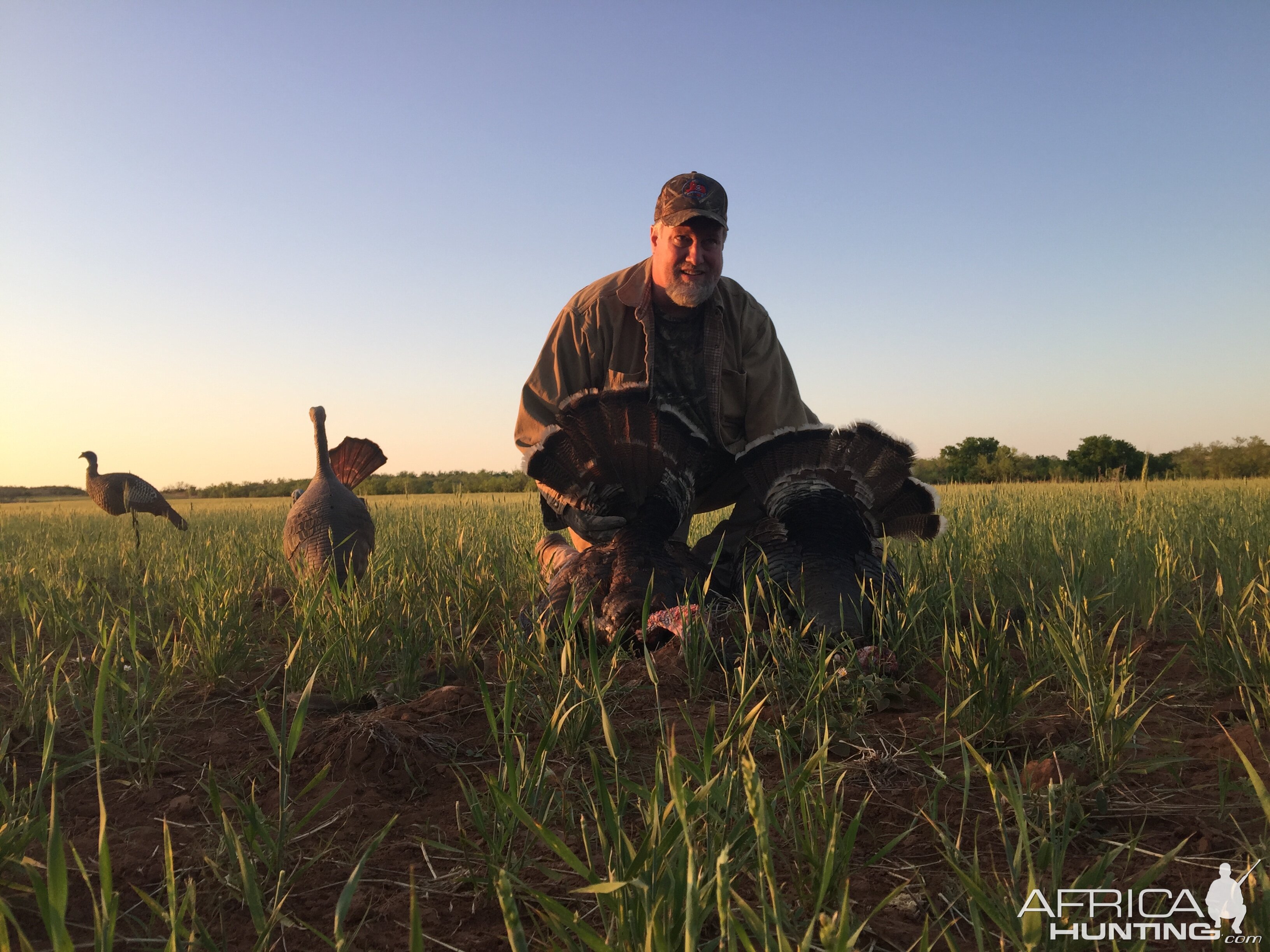 Turkey Hunting