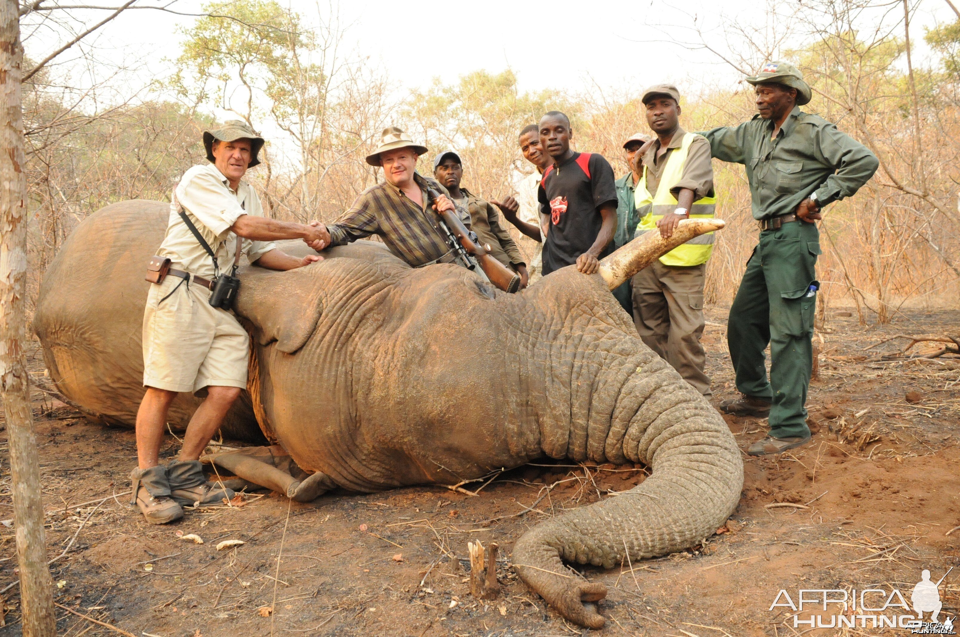 Tusker from Mozambique.