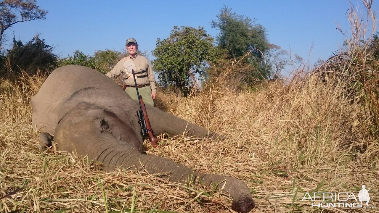 Tuskless Elephant Hunt Zimbabwe