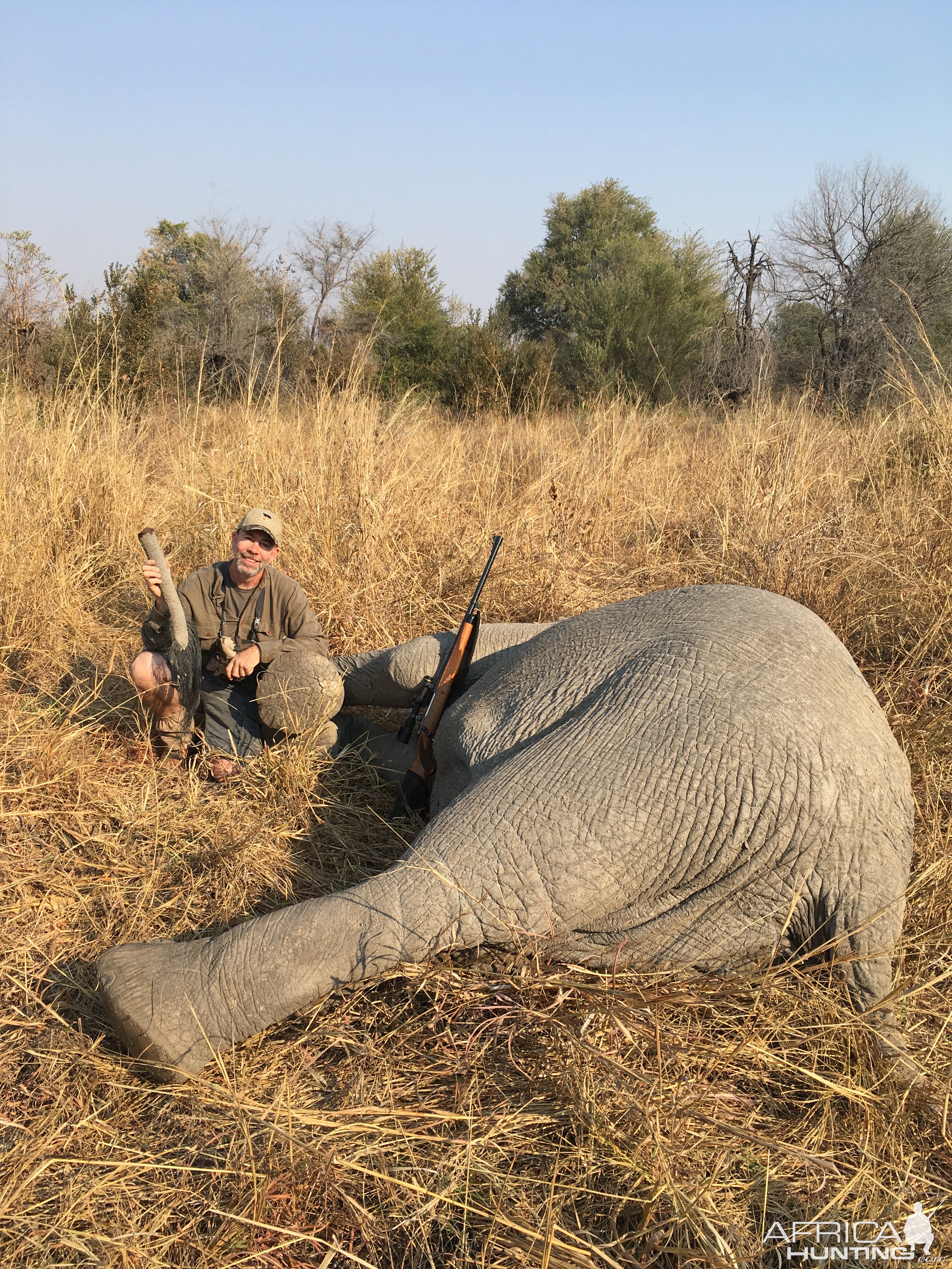 Tuskless Elephant Hunt Zimbabwe