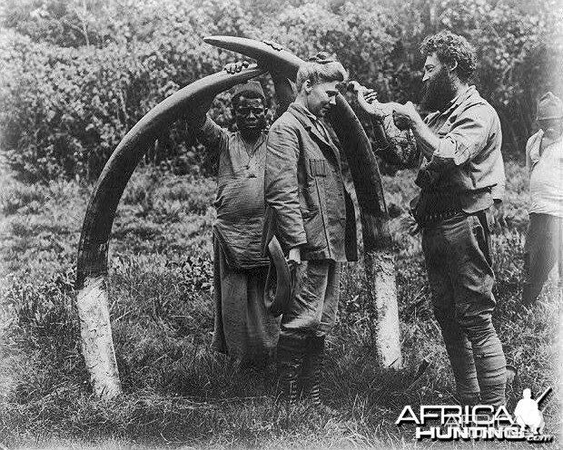 Tusks 1907