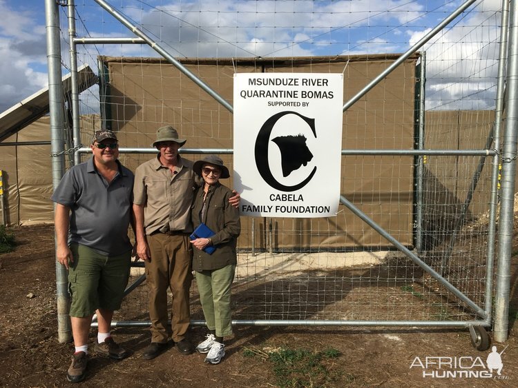 Twenty Four Lions reintroduced to Zambeze Delta of Mozambique