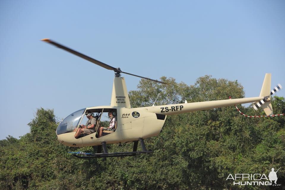 Twenty Four Lions reintroduced to Zambeze Delta of Mozambique