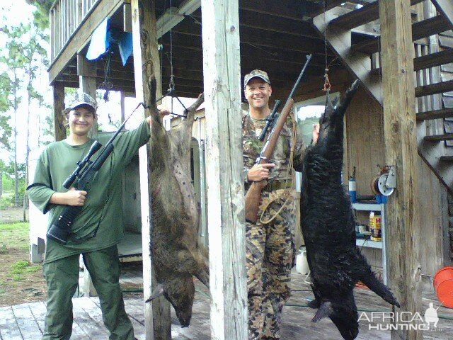 Two hogs for the two of us - best way to enjoy hunting is with my son!