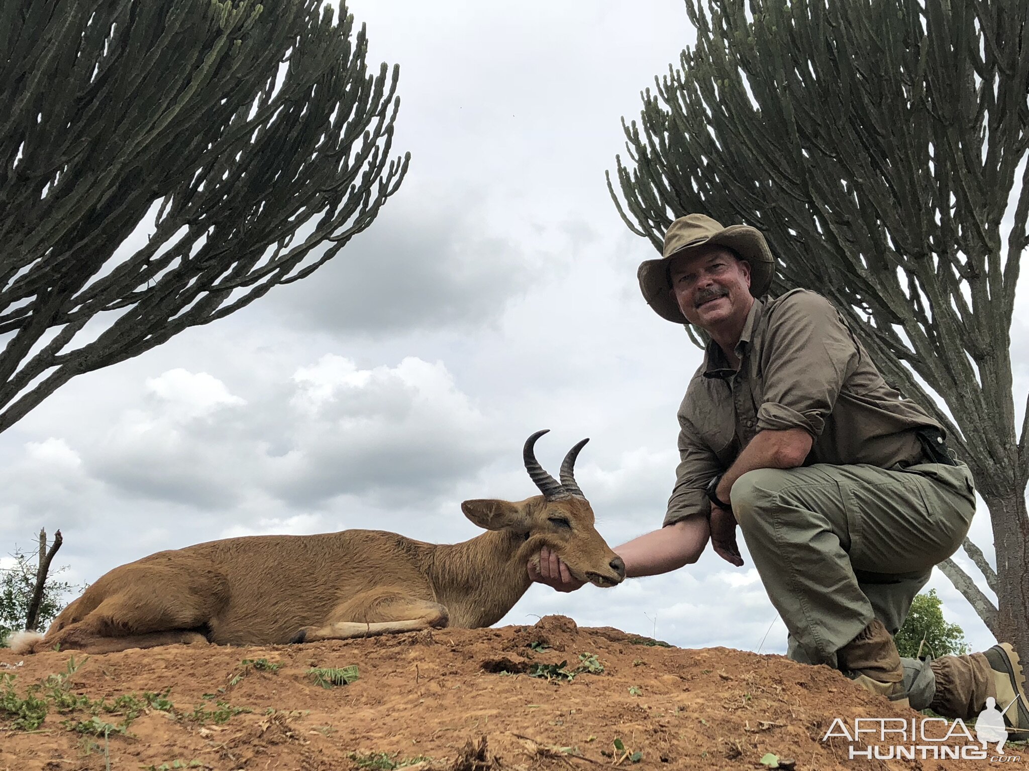 Uganda Hunting Bohor Reedbuck