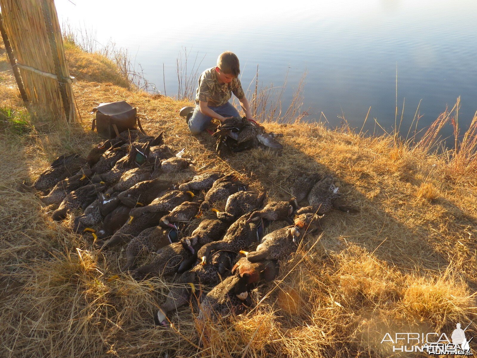 Umdende Clayton Comins Hunting Safaris