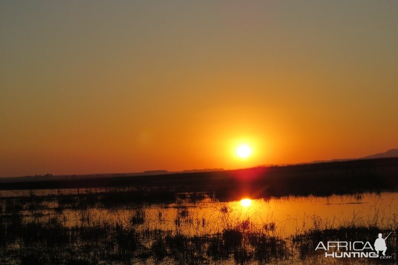 Umdende Hunting Safaris