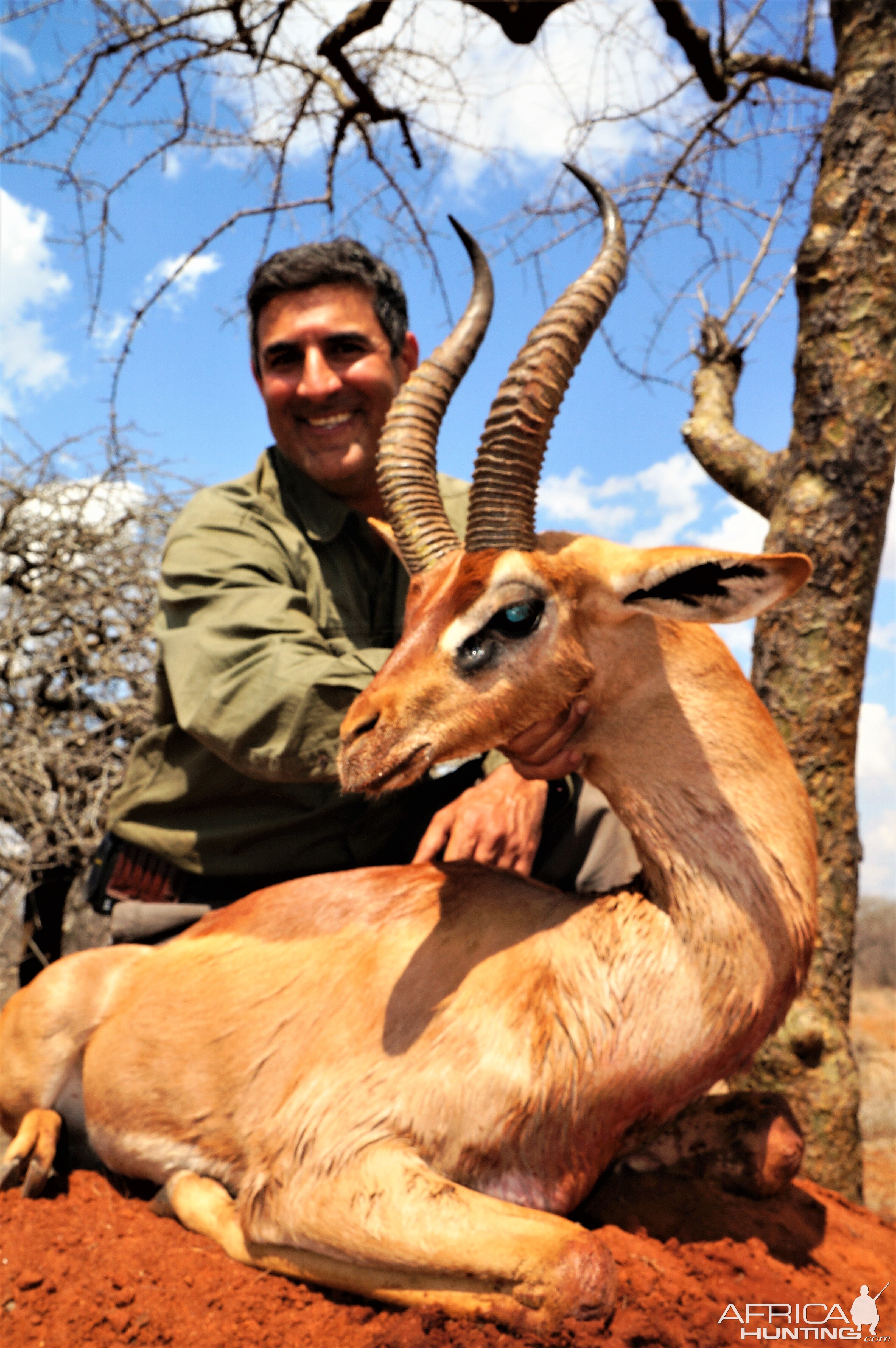 Unique Masaai Species Gerenuk