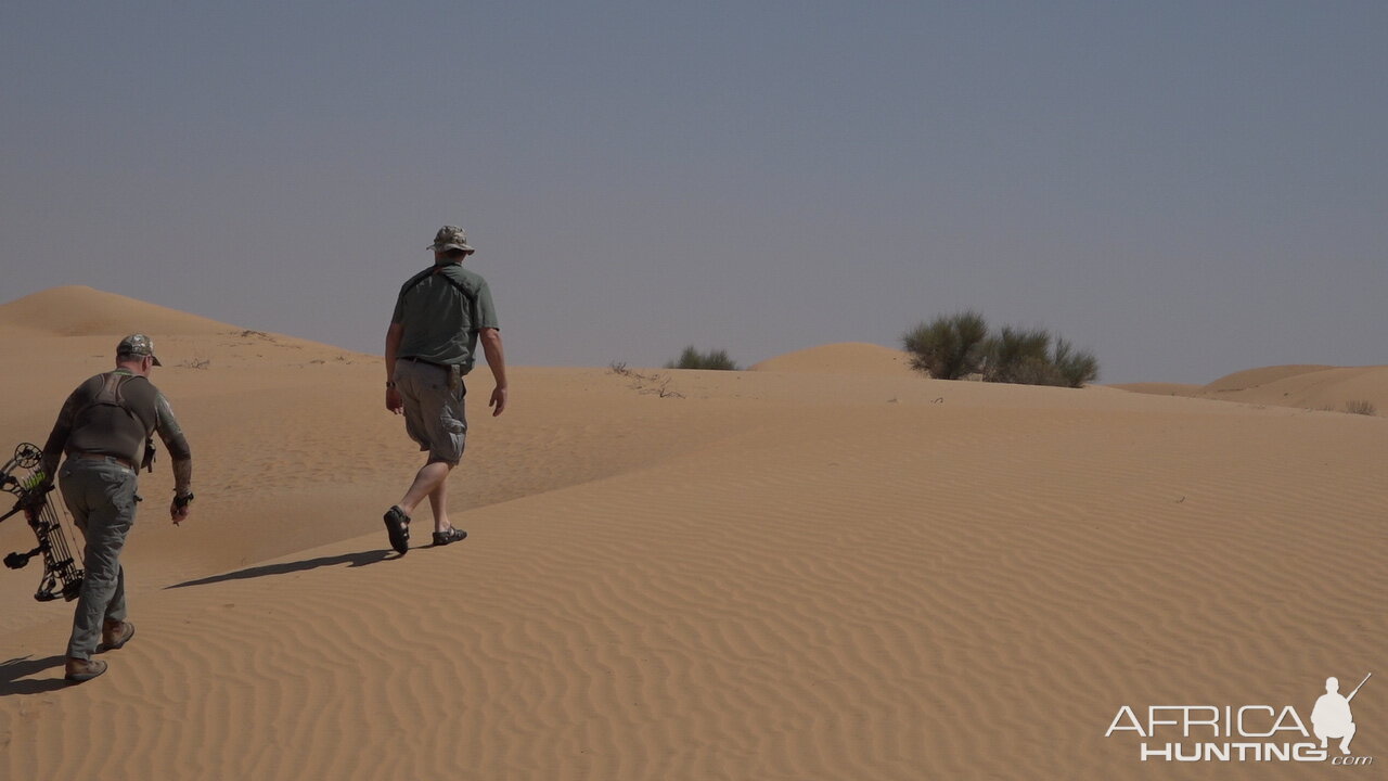 United Arab Emirates Bow Hunt Arabian Oryx