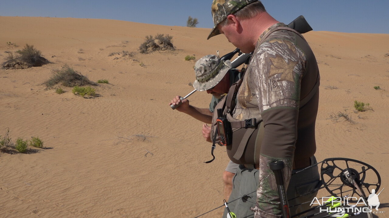 United Arab Emirates Bow Hunt Arabian Oryx