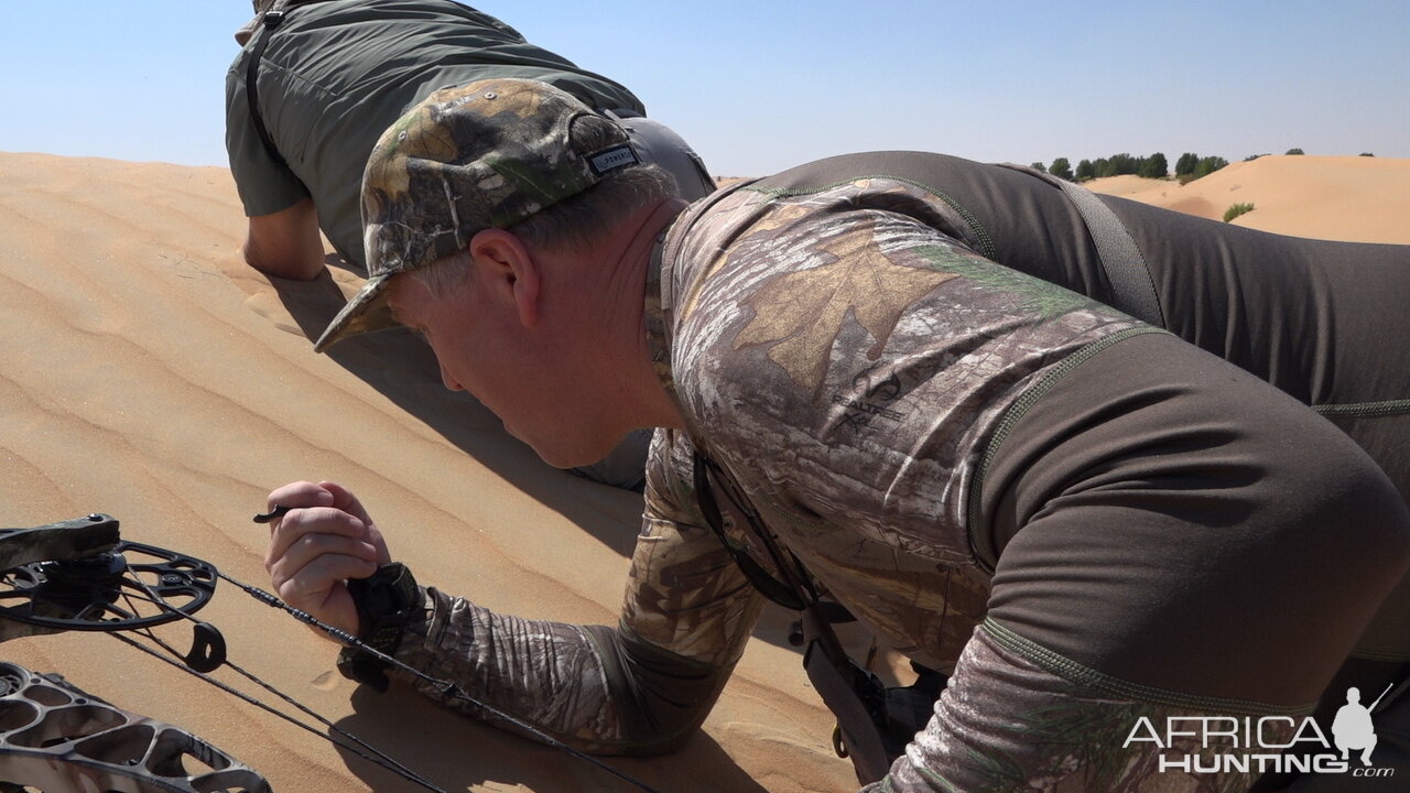 United Arab Emirates Bow Hunting Arabian Oryx