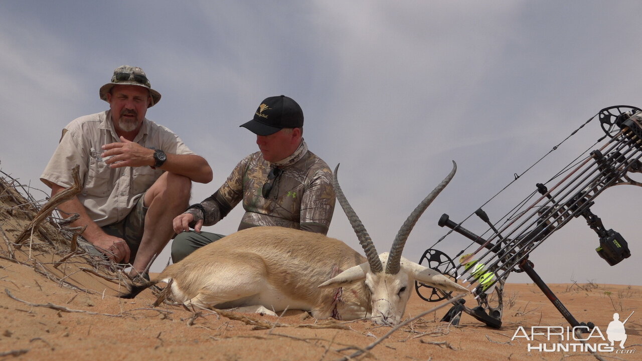 United Arab Emirates Bow Hunting Sand Gazelle