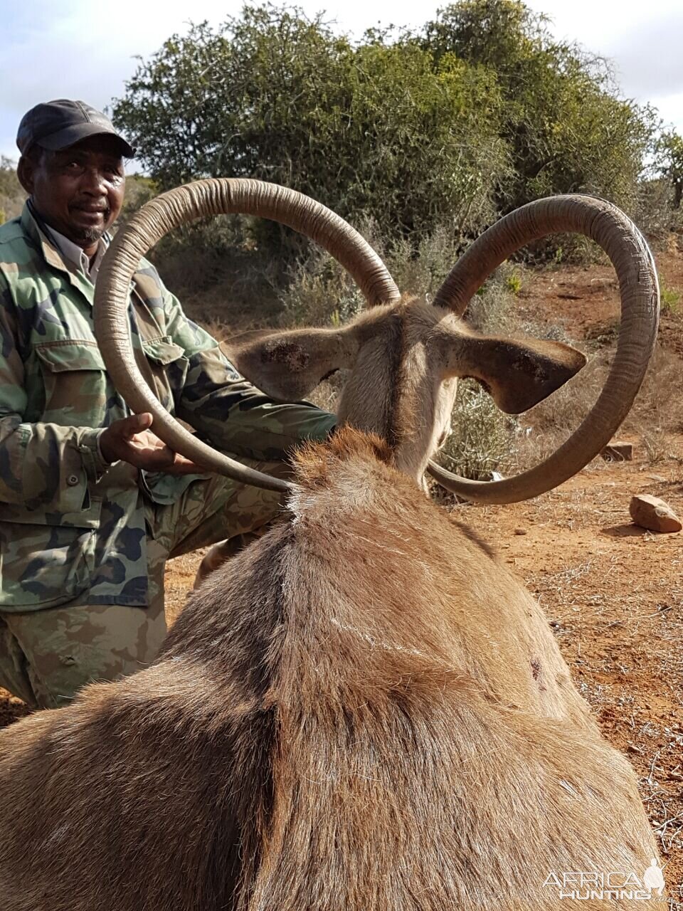 Unusual Kudu Trophy