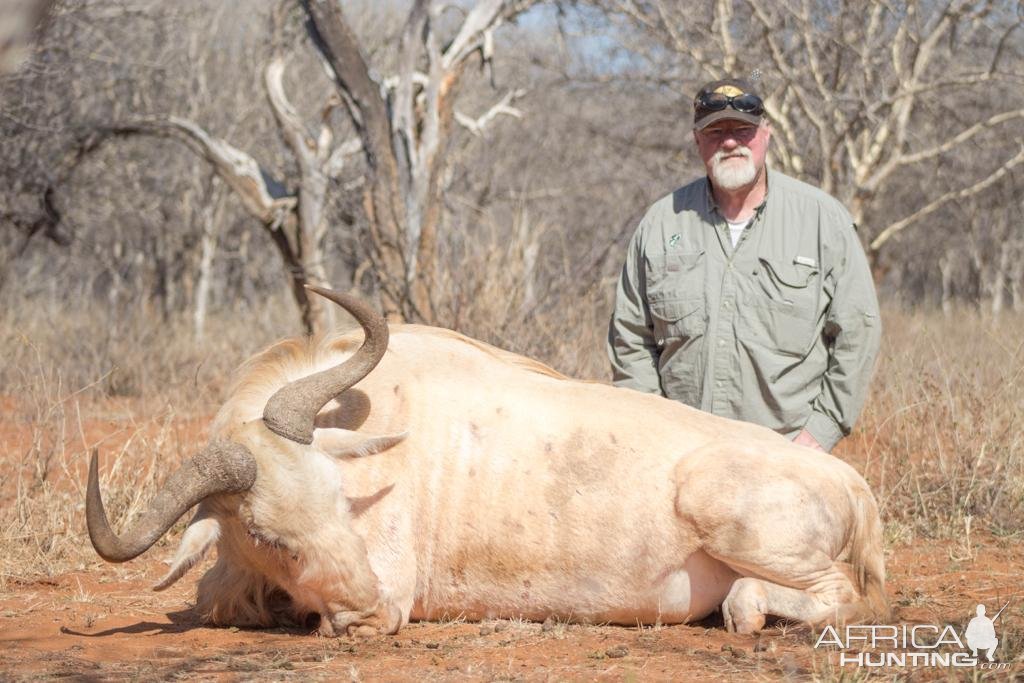 Unusual White Wildebeest Crossbow Hunt South Africa