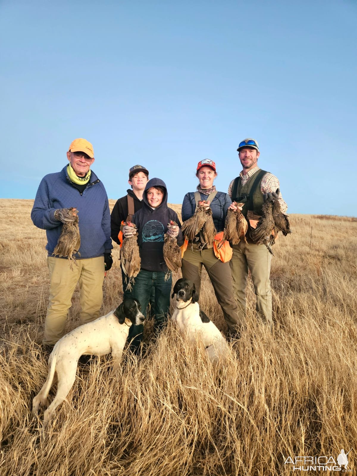 Upland bird hunting South Africa