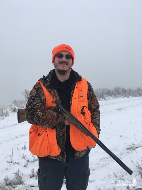 Upland Bird Hunting