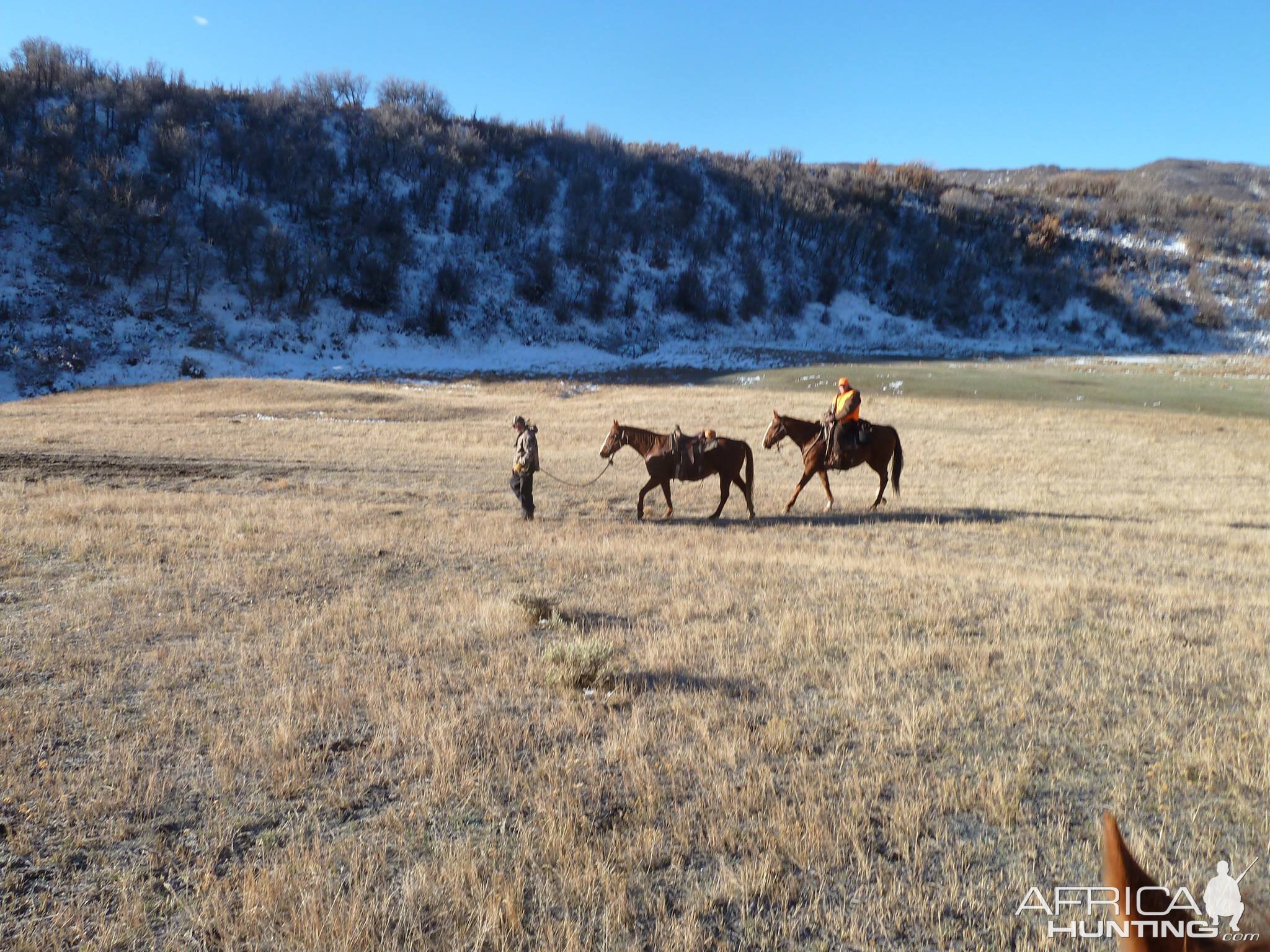 USA Guided Elk Hunting