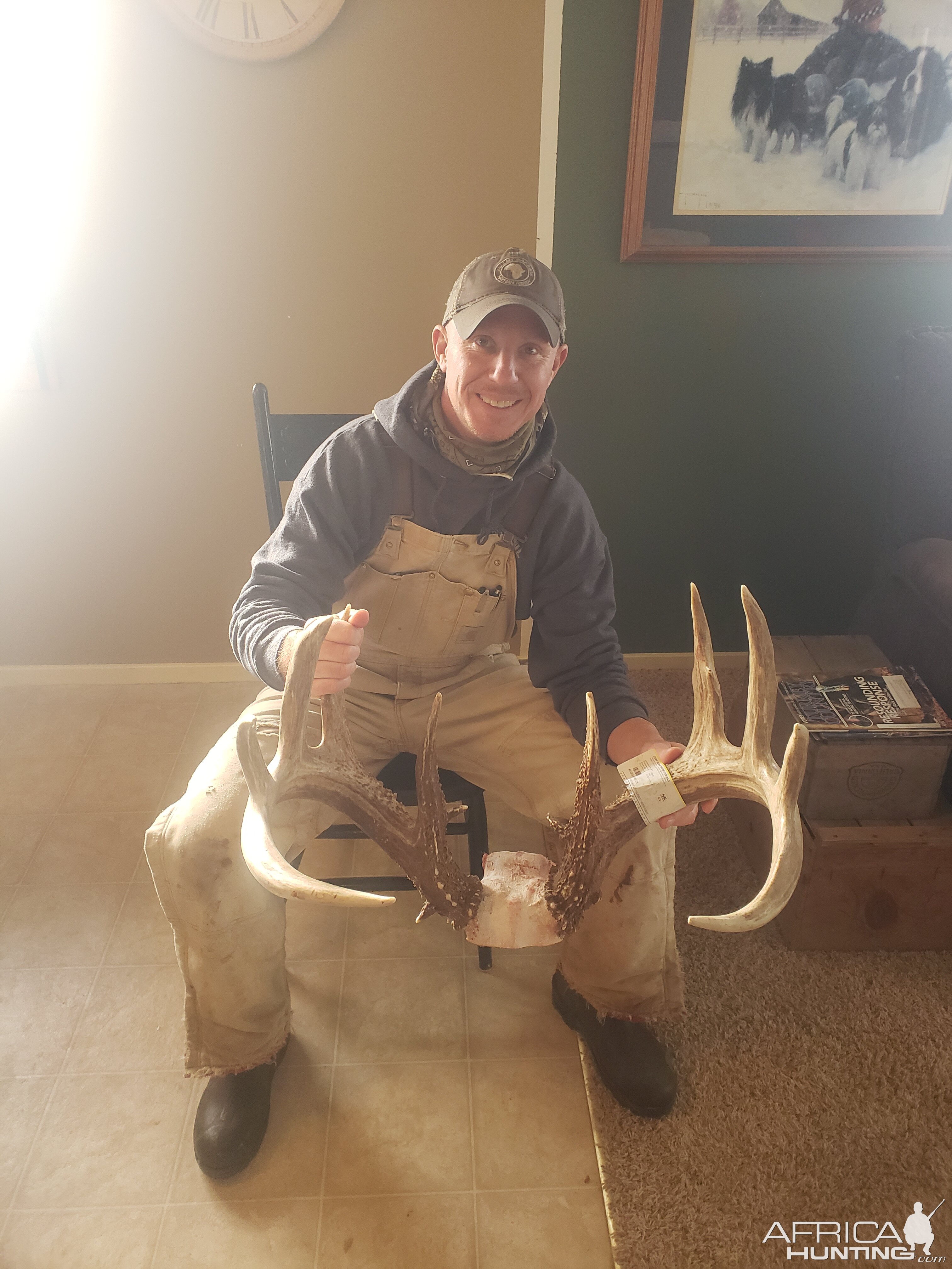 USA Hunt Deer