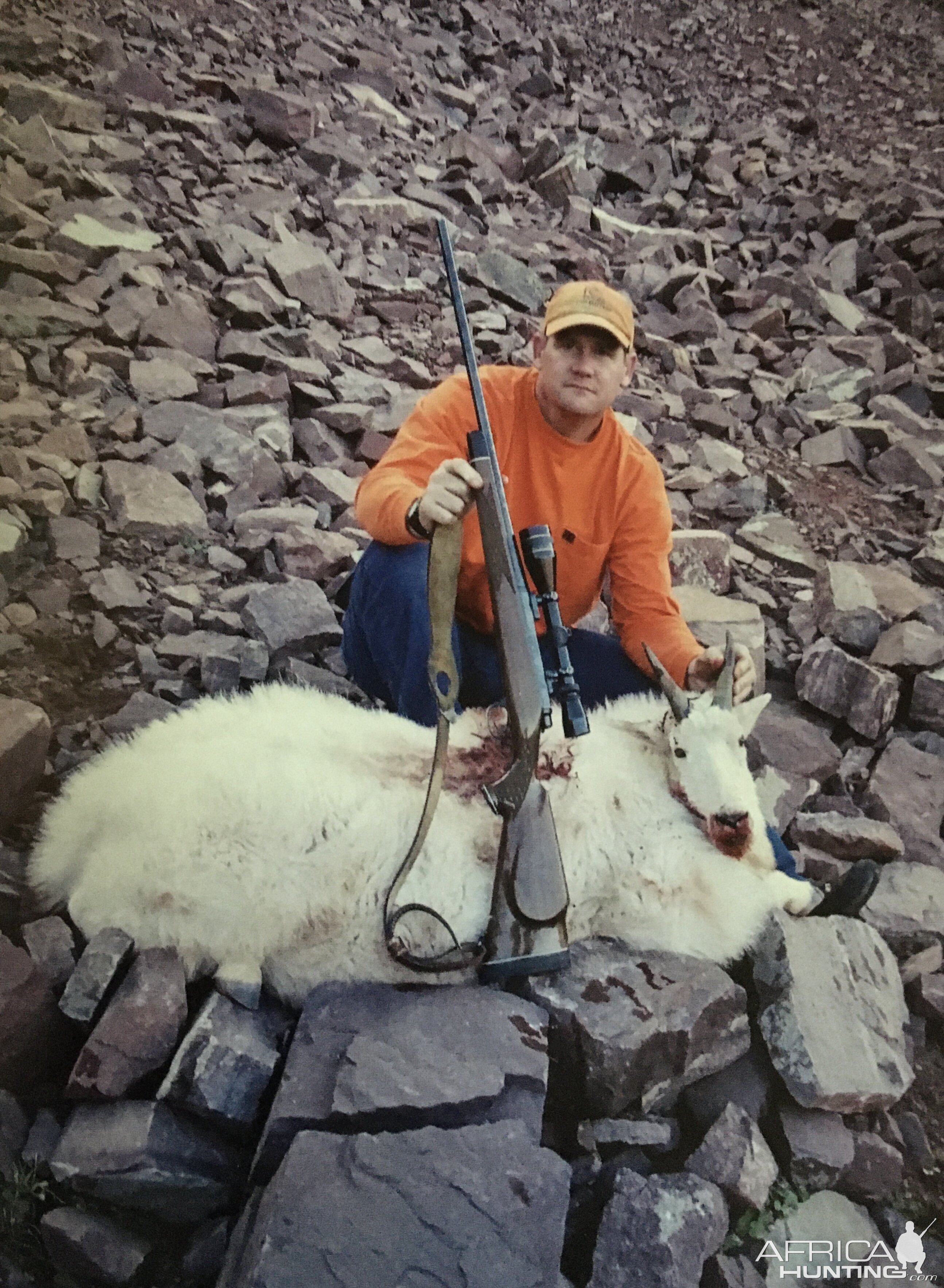 USA Hunt Mountain Goat