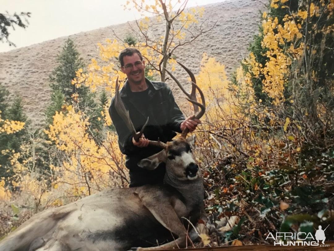 USA Hunt Mule Deer