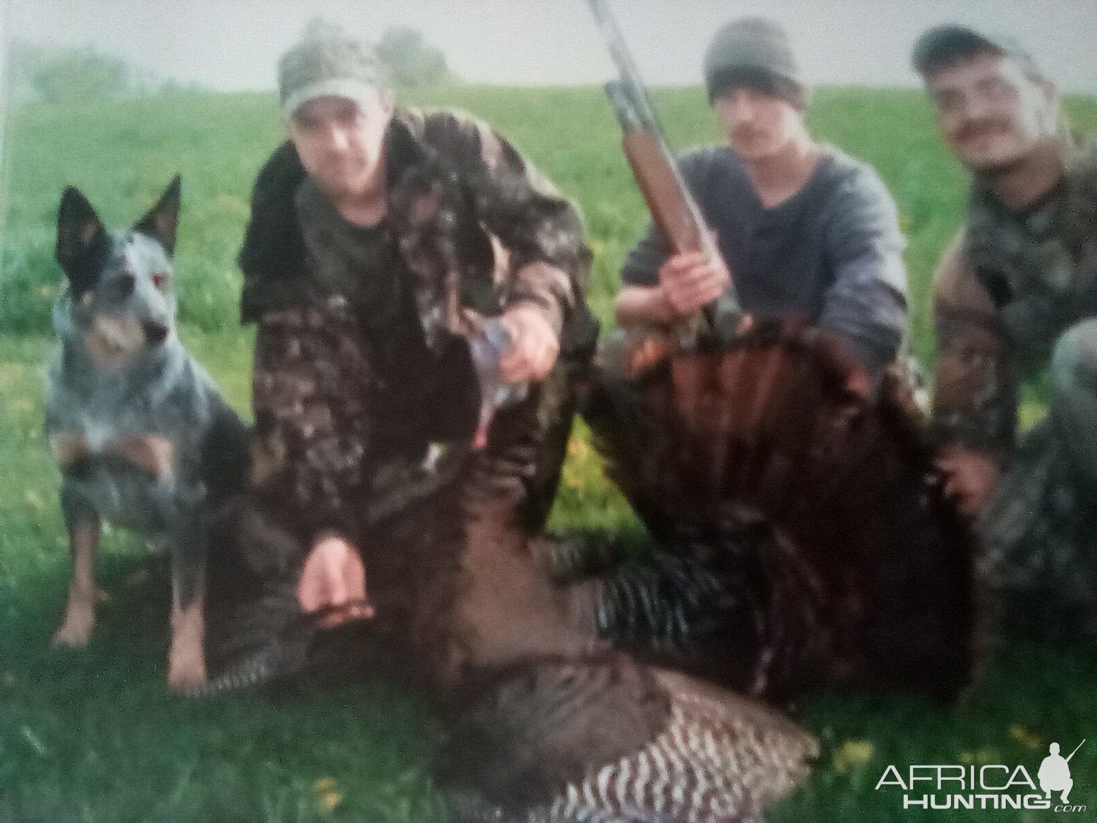 USA Hunt Turkey