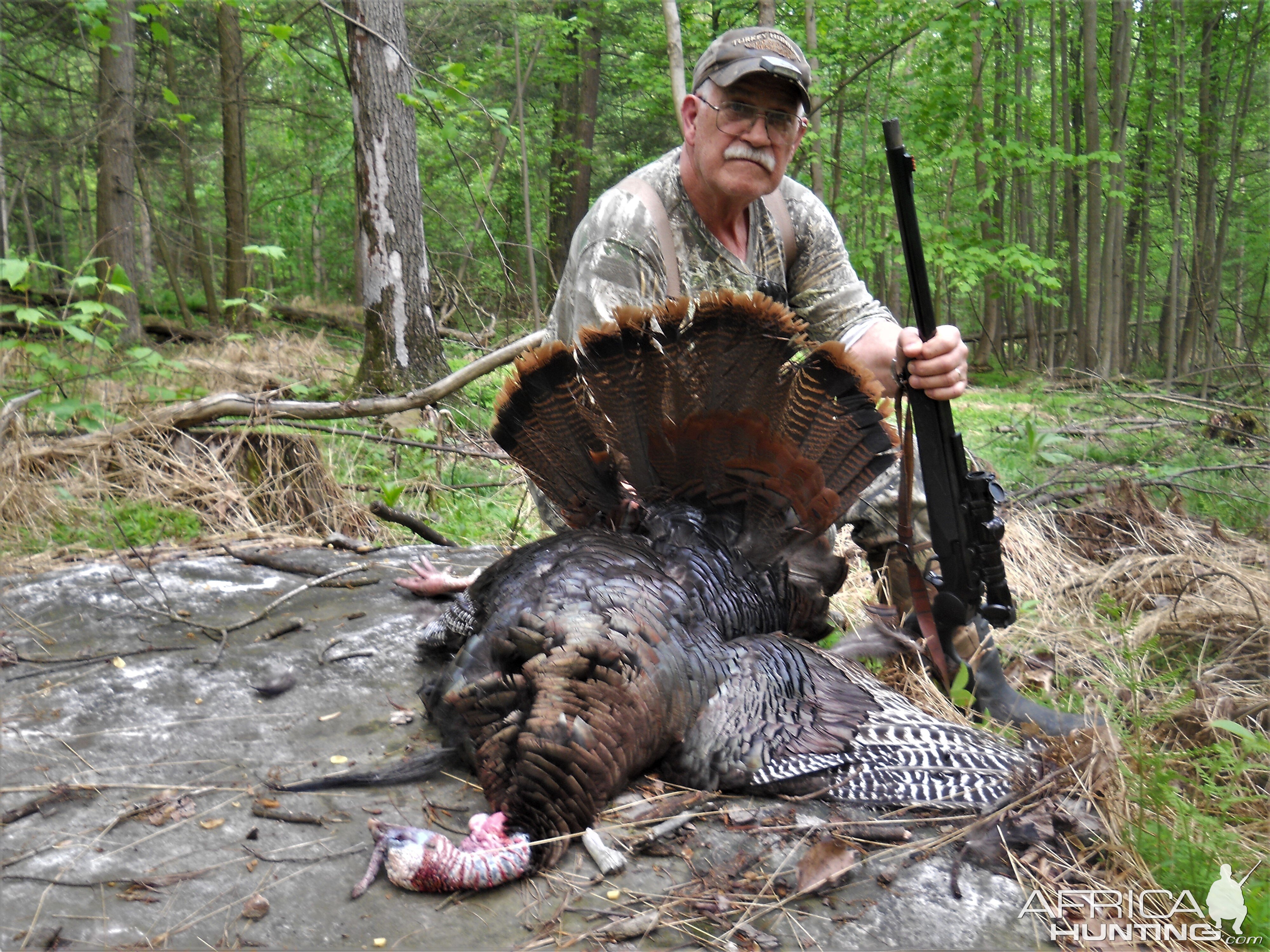 USA Hunt Turkey