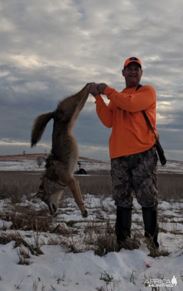 USA Hunting Coyote