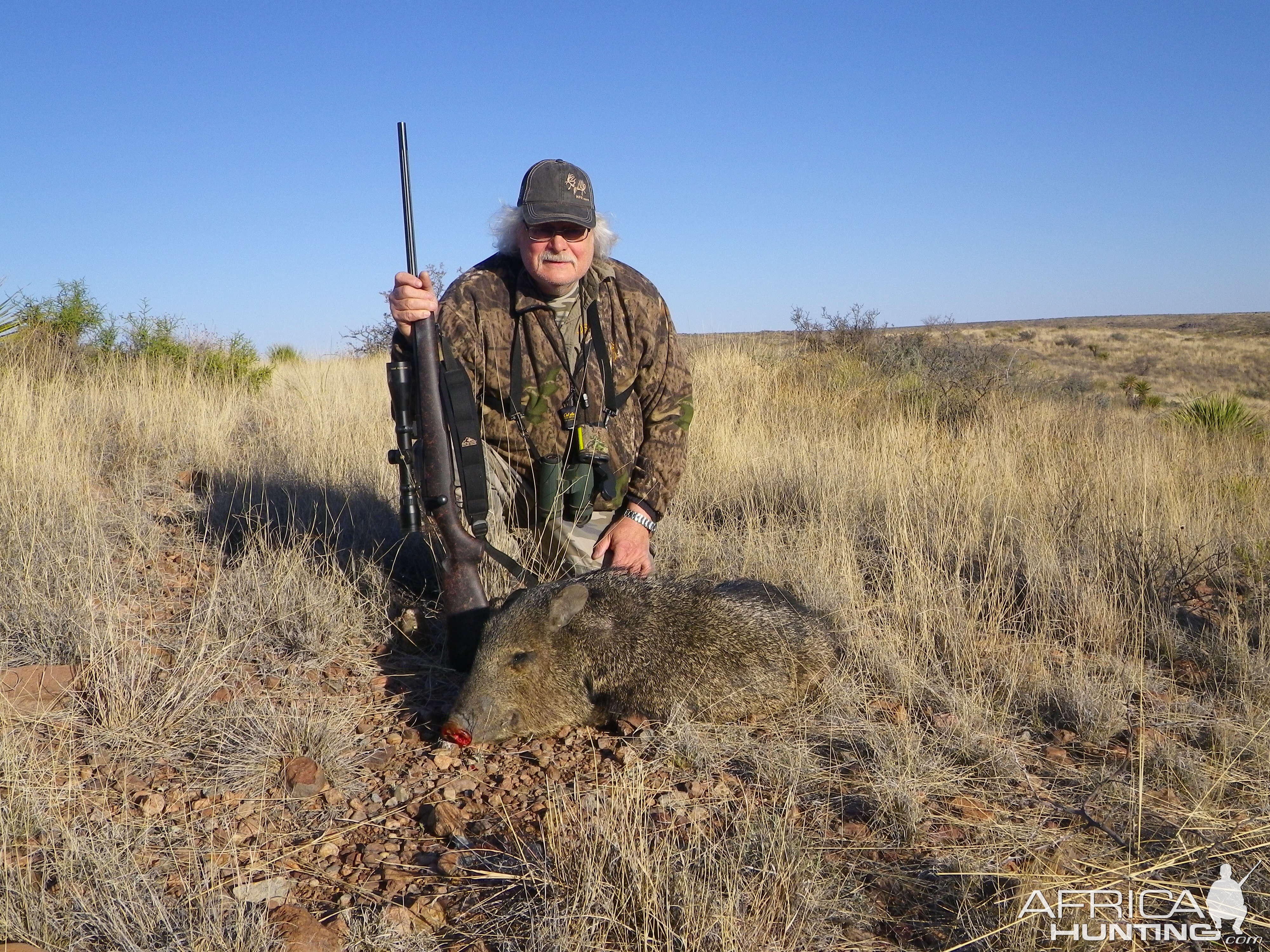 USA Hunting Javelina